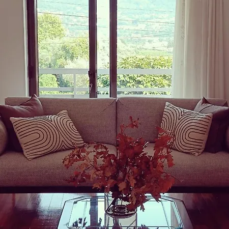 Madalena * Coucieiro